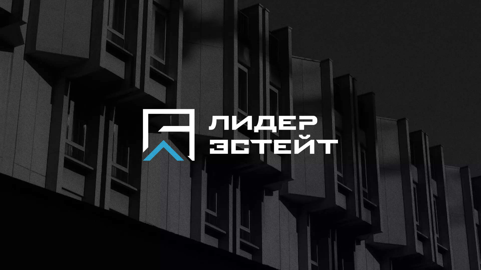 Разработка логотипа агентства недвижимости «Лидер Эстейт» в Урене
